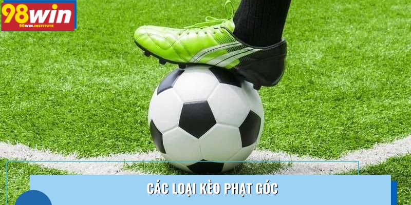 Các loại kèo phạt góc Các loại kèo phạt góc