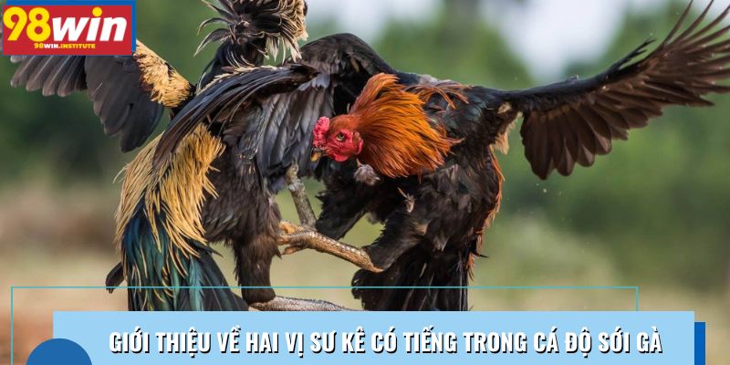 Giới thiệu về hai vị sư kê có tiếng trong cá độ sới gà Giới thiệu về hai vị sư kê có tiếng trong cá độ sới gà