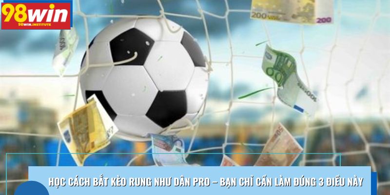 Học cách bắt kèo rung như dân pro – Bạn chỉ cần làm đúng 3 điều này Học cách bắt kèo rung như dân pro – Bạn chỉ cần làm đúng 3 điều này
