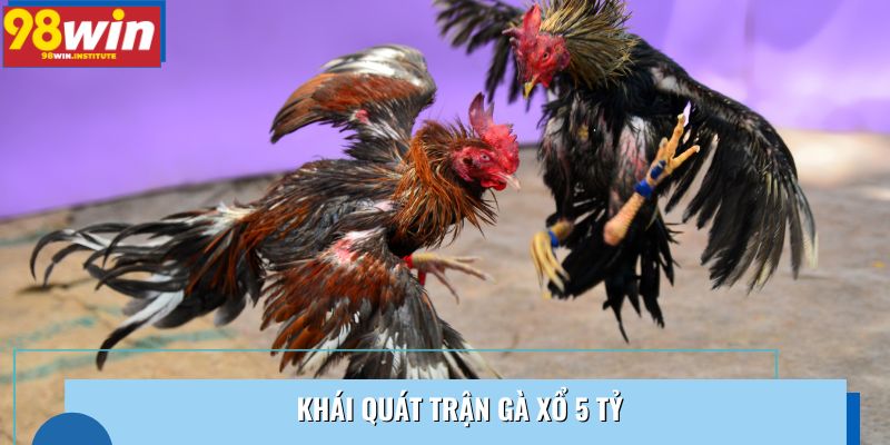 Khái quát trận gà xổ 5 tỷ Khái quát trận gà xổ 5 tỷ