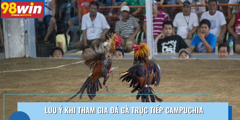 Lưu ý khi tham gia đá gà trực tiếp Campuchia