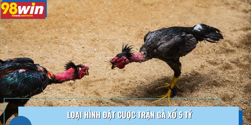 Loại hình đặt cược trận gà xổ 5 tỷ Loại hình đặt cược trận gà xổ 5 tỷ