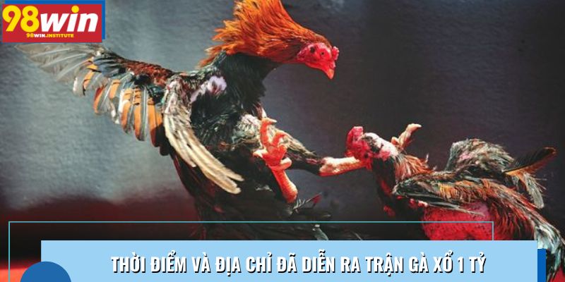 Thời điểm và địa chỉ đã diễn ra trận gà xổ 1 tỷ Thời điểm và địa chỉ đã diễn ra trận gà xổ 1 tỷ