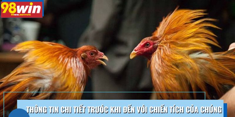 Thông tin chi tiết trước khi đến với chiến tích của chúng Thông tin chi tiết trước khi đến với chiến tích của chúng
