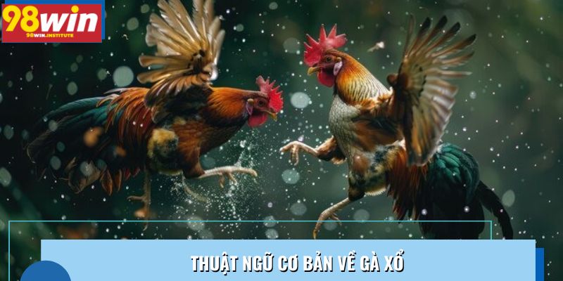 Thuật ngữ cơ bản về gà xổ Thuật ngữ cơ bản về gà xổ