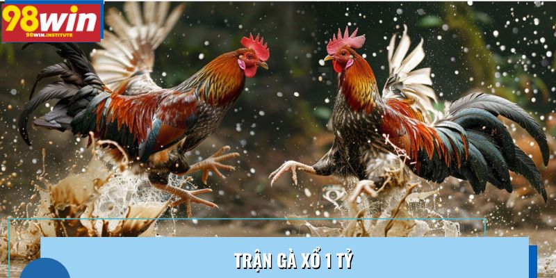 Trận Gà Xổ 1 Tỷ: Màn Đọ Sức Của Hai Chiến Kê Huyền Thoại